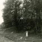 Golubiškių piliakalnis. J. Nemanio nuotrauka, 1975 m.